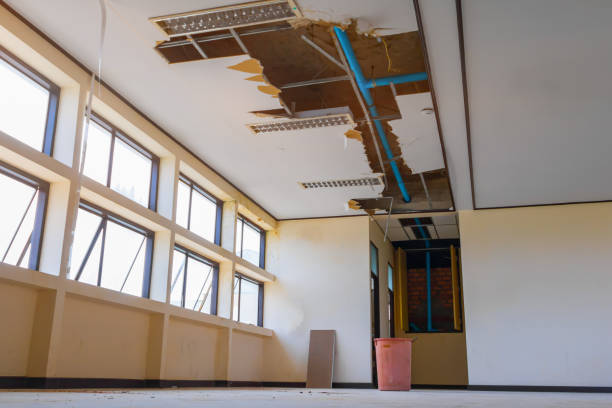 Best Mold removal after water damage  in Six Mile, SC