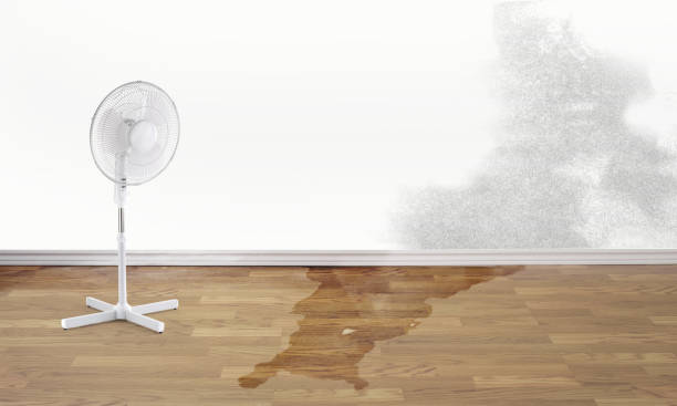 Best Water damage restoration near me  in Six Mile, SC