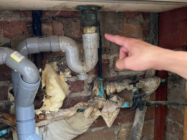 Best Fire Damage Restoration  in Six Mile, SC