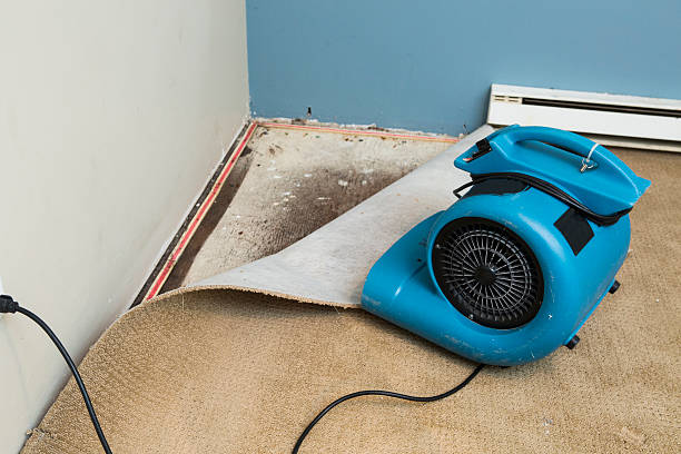 Sewage cleanup and water damage restoration in Six Mile, SC